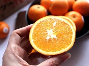 每个橙子的细胞内都充满了水分，足以说明这个橙子的质量。