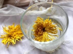 把金丝皇菊和老冰糖放入杯子里。