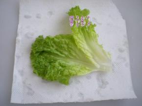 蔬菜洗干净是必须的，用厨纸擦下水份