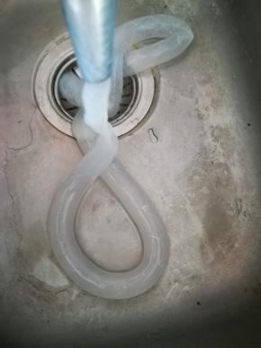 羊肠衣用清水冲洗三四遍