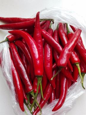 红辣椒选肉质较厚、较长的，不是特别的辣