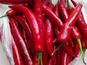 红辣椒选肉质较厚、较长的，不是特别的辣