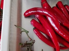 晾干的红辣椒，去掉根蒂