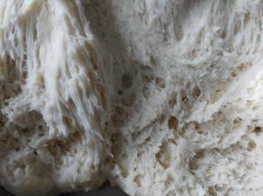 发好的面团内部组织有蜂窝状