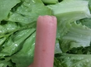 准备一只火腿肠