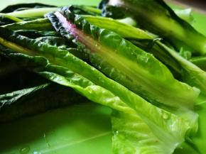 青笋叶洗净