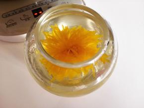 8．	泡一会儿，菊花就会慢慢打开，