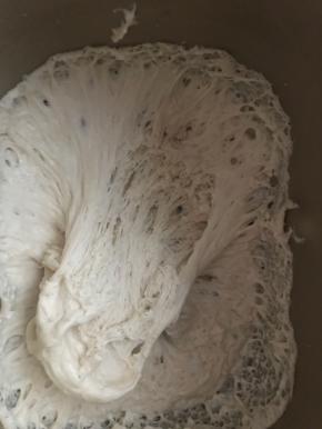 里面的组织呈蜂窝状，放进冰箱冷藏16小时以上