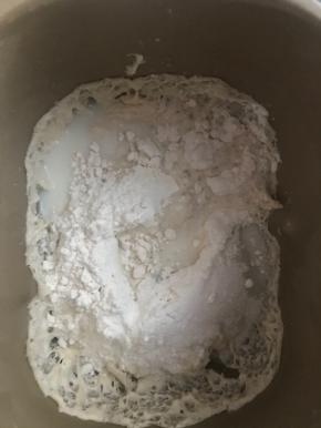 中种面团取出，加入除黄油外主面团材料，揉到扩展阶段，加入黄油，揉到出膜，在温暖处进行基础发酵