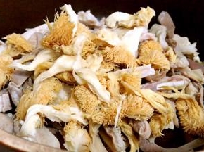 备 一砂锅，放入猪肚、猴头菇