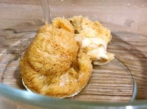 再清洗干净