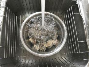 养好的花蛤搓洗干净