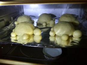 放入烤箱发酵40分钟，烤箱里放一小碗水，发酵至原来的2倍大取出，预热烤箱170度。