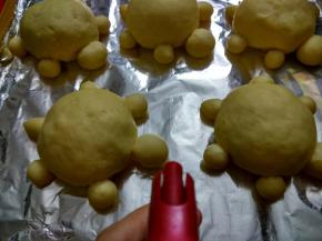 取出后用喷壶喷上一层薄薄的水。预热好放入烤箱170度，中层烤15-20分钟，至表面变金黄色即可。（具体时间根据自家烤箱来调整，要多观察颜色的变化）