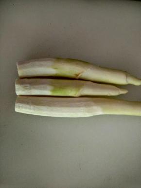 准备茭白，整理外皮。