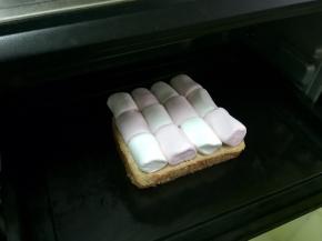 烤箱预热180度，把棉花糖吐司入烤箱烤10分钟。