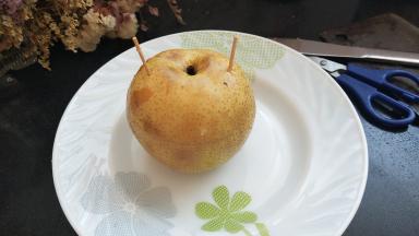 然后盖上盖子插入两根牙签