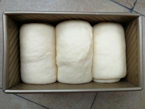 放入烤箱开启发酵模式进行二发，大约45分钟至八分满