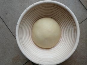 面团收圆放入发酵篮，盖上保鲜膜或湿布进行一发