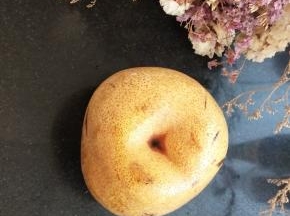 梨子一只