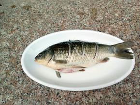 把处理好的鲫鱼身上划三刀，加上少许的盐腌制30分钟，让其有个底味。