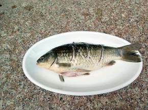 把处理好的鲫鱼身上划三刀，加上少许的盐腌制30分钟，让其有个底味。