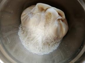 发酵至内部呈蜂窝状即可；