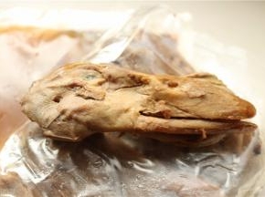 提前解冻，取出鸭头。