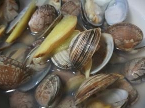 花蛤吐净砂 放入锅中焯水 加入姜片 花蛤一开口就捞出