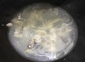 炖到鱼汤发白，捞起鱼骨丢弃