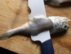 从背部入刀，片出鱼肉