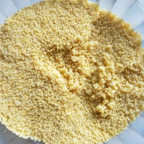 泡好的小米沥干水分