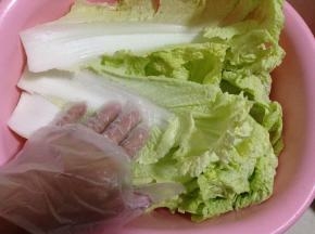 滤干水分的大白菜叶一片片的放入一个大的盆中，每放一片，都要在表面细细撒上一层盐，再放一片再撒盐，如此重复，直至所有的叶片都放入