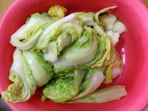 挤干水分备用