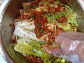 取一片挤干水分的白菜，用手在正反两面均匀的涂抹上一层酱料，再放一片再涂，如此重复，直至涂完所有的白菜（根部要多一些）