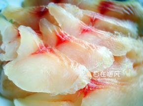鲷鱼片成鱼片