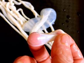 将泡好的肠衣，灌点水