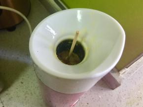 把米饭舀入蛋肠机，压实，插入一根竹签。自动开始加热。