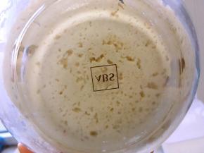 发酵好的面团表面会有些膨胀，内部充满了气孔，有点像蜂巢状，闻起来有点淡淡的酸味即可