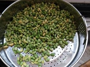 青豆清洗干净