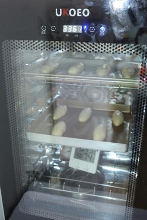 然后放在发酵箱里，先放一盆温水发酵箱底下，温度调为36度，湿度调为75%，时间60分钟，进行二次发酵