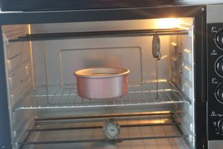 烤箱提前先预热好140度10分钟，将蛋糕放在烤盘上放入预热好的烤箱中层，上下火140度50分钟，切记中途不要打开烤箱门