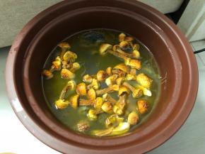 汤炖到还剩1个半小时的时候，倒入泡好的姬松茸，继续盖上盖子炖煮