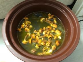 汤炖到还剩1个半小时的时候，倒入泡好的姬松茸，继续盖上盖子炖煮