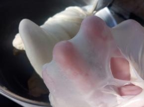 揉到出手摸就好了。