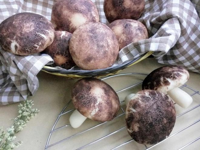 花样馒头～蘑菇豆沙包