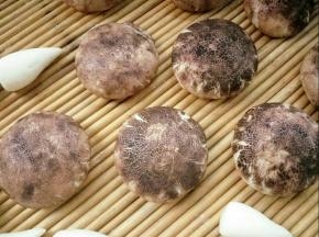 出锅了，裂纹漂亮吧