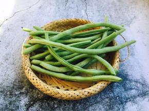 把四季豆的筋和老根去掉。