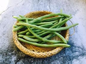 把四季豆的筋和老根去掉。