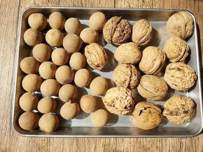 准备核桃和桂圆干